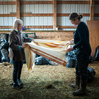 Parkland - Double width Wool blanket | September 11- 13, 2026