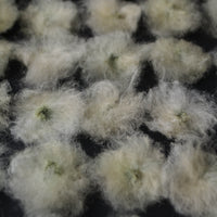 Irene textile Habi Habi Myriam filage fuseau